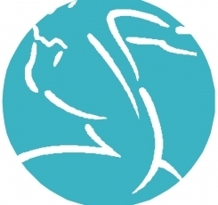 Profilfoto
